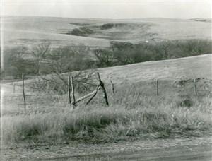 Image description is not available for PHO-4-W689-240